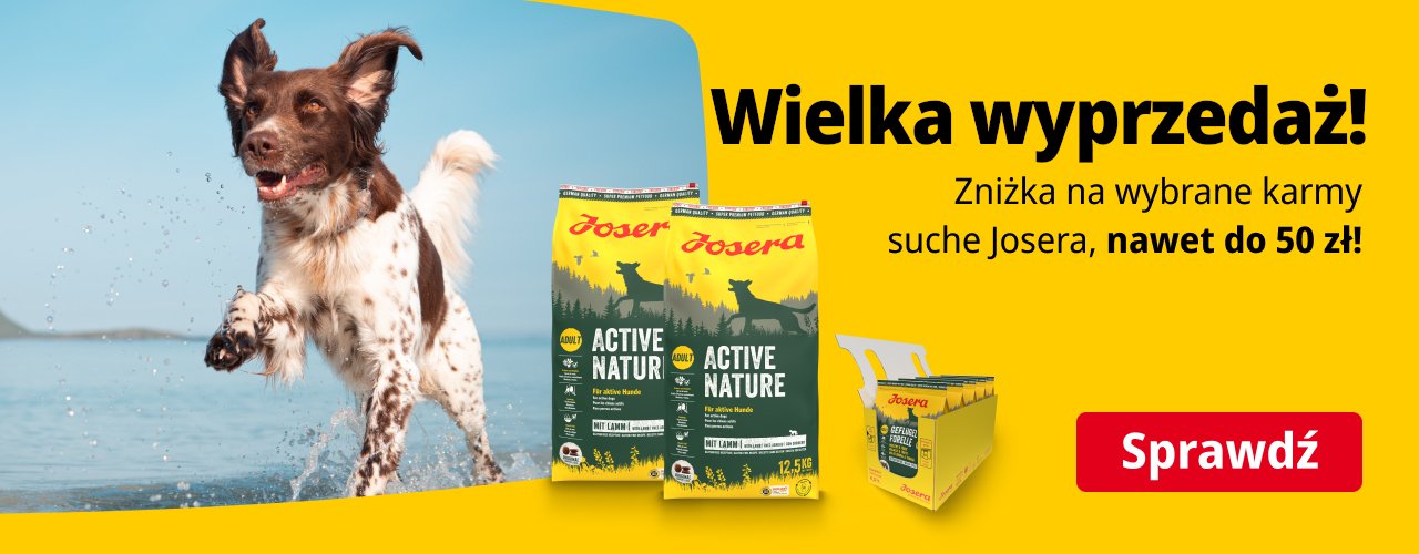 https://joserapartner.pl/promocja-letnia-wyprzedaz